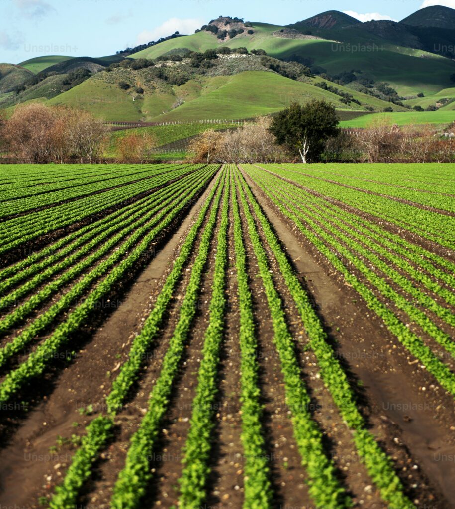 premium photo 1674624682288 085eff4f98da