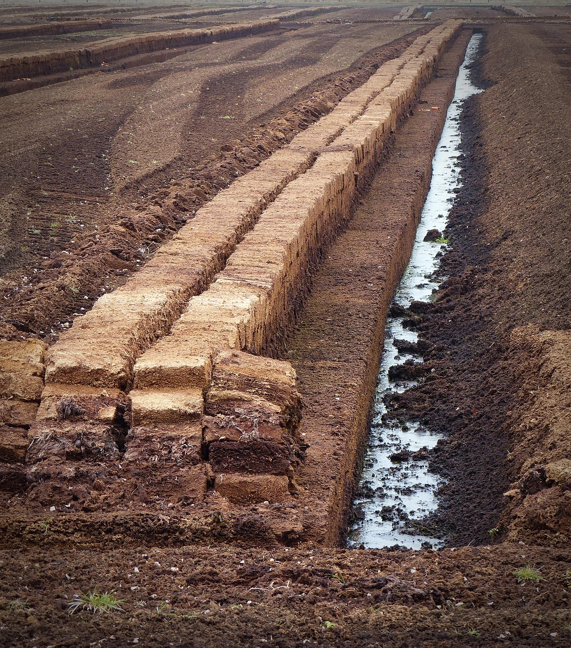 peat, peat cutting, potting soil, peat slabs, raised bog peat, peat, peat, peat, peat, peat