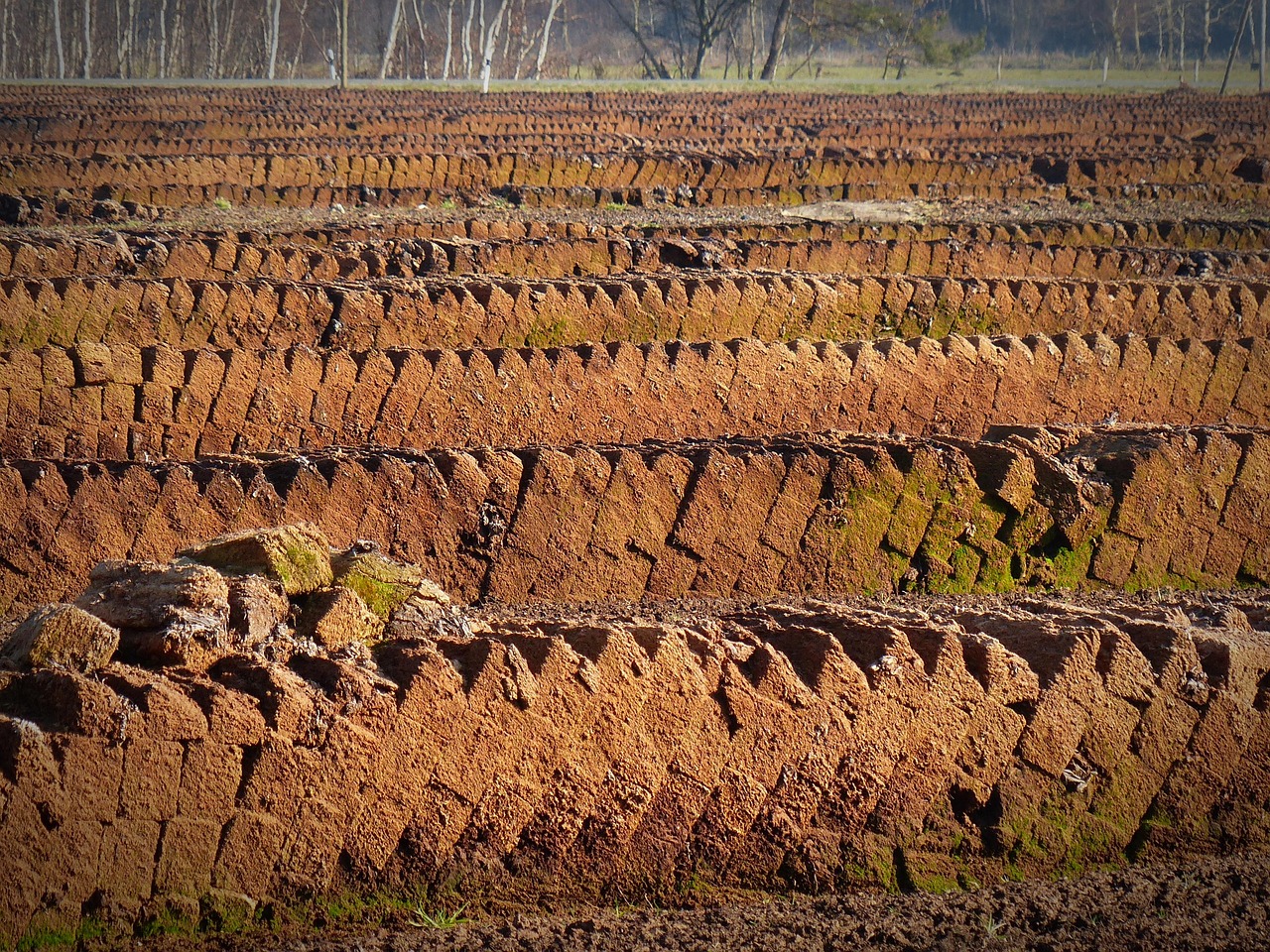 peat, peat cutting, potting soil, peat slabs, raised bog peat, peat, peat, peat, peat, peat